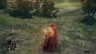 ELDEN RING:Most fucked gank squad i ever invaded.