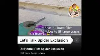 Spider Exclusion Tips: Keep Spiders Away Without Pesticides! 🕷️
