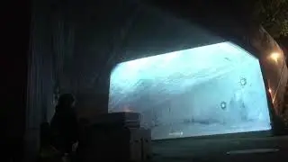 niseq live performance | for the climate (Albertslund)
