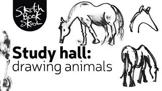 Study Hall: Drawing Animals