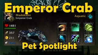 Emperor Crab - Pet Spotlight