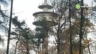 Kleine Wanderung zum Winterturm im Taunus