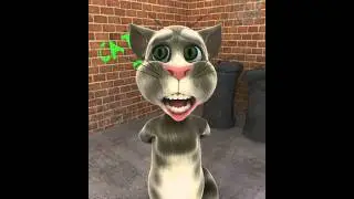Talking Tom Talks About The Rio Show