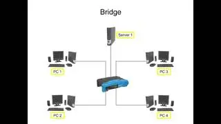 Hubs, Bridges, Switches and Gateway