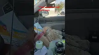 &laquo;Это было бы злом&raquo;, &mdash; говорит дух. #призраки #приключенияспривидениями #чтозачерт #паранормальное...