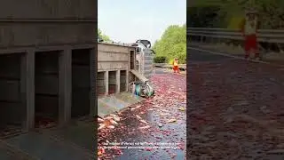 MILLIONS of Red Fish FLOOD This Highway: The Bizarre Truth Behind an Unbelievable Natural Event!