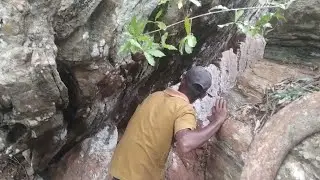 මහා වනයේ සැගවී තිබුන නිධන් ගලේ ඇත්ත නැත්ත සොයා ගිය ගමන🌿|🤷‍♂️#vlog 