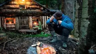 🐻 A Bear Found My Forest Shelter… I Wasn’t Ready 🌲😱🔥