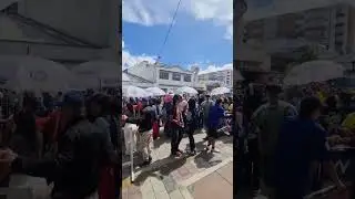 'Blacks and Whites' Carnival. Pasto, Colombia #shorts #carnival #colombia #blacksandwhites