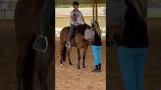 Learning to feel your horse&rsquo;s mouth and connection from the Master Linda Parelli.