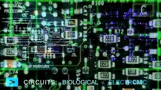 Illumination of the Matrix