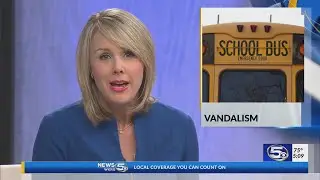 Two Santa Rosa County school buses vandalized