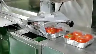 Fully automatic vegetable fruit reciprocating type flow wrapper