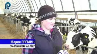 СПК  Килачевский - 60 лет лучшие на карте России