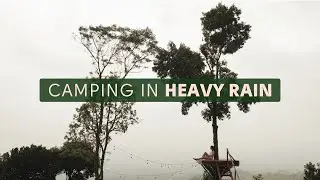 Camping | Heavy Rain - AuntyLa Nature Camp | Relaxing Sound, ASMR