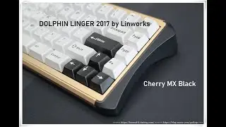 DOLPHIN LINGER 2017 돌린거 + ALU + 삼신흑(Cherry MX Black)