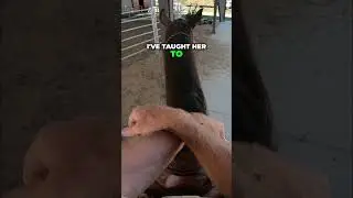 Horse Relaxation: Teaching My Horse to Self-Soothe