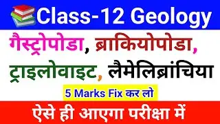 Class 12 Geology Important Questions | Gastropoda to Lamellibranchia | 5 Marks Fix कर लो