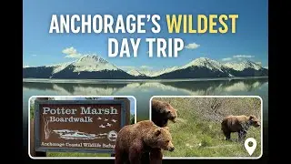 Turnagain Arm & Wildlife Center | Alaska Day Trip