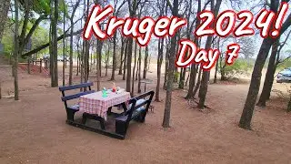 Day 7 – Kruger National Park! Ep 547