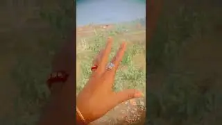 hand dance#sort#video