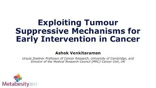 Metabesity 2017: Exploiting Tumour Suppressive Mechanisms for Early Intervention in Cancer