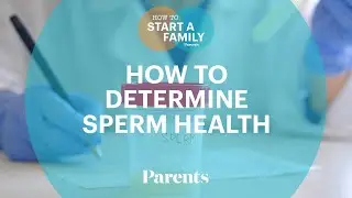 How to Determine Sperm Health | How to Start a Family | Parents