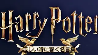苦しい時に響くハリーポッターシリーズの名言