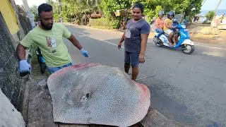 Wow! Coastal Village Fish Market! Day in life Of Traditional Village