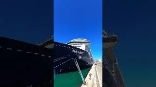 And the delicious food on board? #cruiseship #cruiseships #cruiselover #dreamcruise #cruisetrip