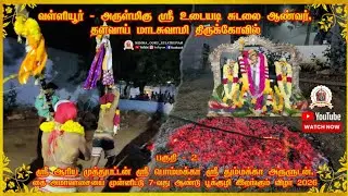 பகுதி – 2 #வள்ளியூர் 7-வது ஆண்டு பூக்குழி இறங்கும் விழா 2026 உடையடி சுடலை ஆண்டவர் கோவில் #பட்டவராயன்