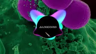 Small Colin - Mutations