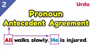Pronoun antecedent agreement | What is pronoun antecedent agreement | Pronoun antecedent in Urdu