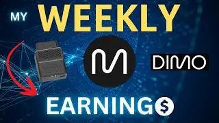 DIMO Weekly Earnings