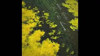Sebastian Robles - Live or Let Leave (EP)