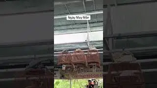 #xuhuong #shortup #shortvideo #xuhuongvideo #shorts