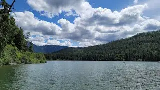 Summer Schools of LMB - Bass fishing in WA
