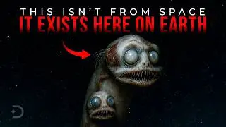 The Strangest Extinct Creatures Ever Discovered by Scientists