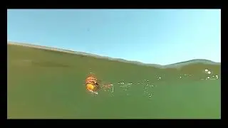 Top Water Duck Lures