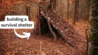 Building a simple mini survival shelter for kids 
