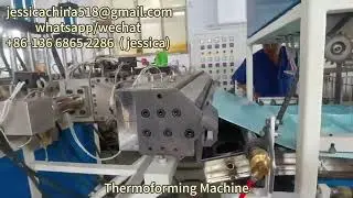 Biodegradable Rice Husk Fiber Plant Corn Starch PLA Plastic Food Box Making Machine pla machine