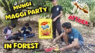 Mungi Maggi Party In Forest|| Ant Attack 😱😱