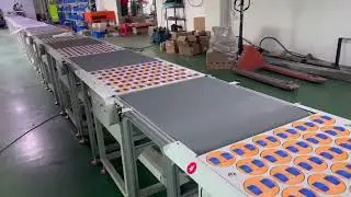 DWS system, sorting line, swivel wheel soter, rotary wheel sorter, package, logistics, express