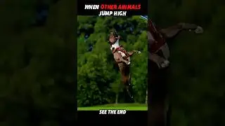 Other Animals Jump&hellip; But a Tiger Jumps 5 Meters High! 🐅🔥 #trending #animals #wildlife #tiger #shorts