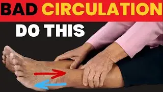 The ONLY 5-Minute Exercise Seniors NEED for Leg Circulation