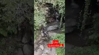 #askot #uttarakhand #newvideo #adventure