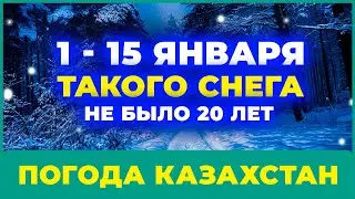 Морозы и метели в Казахстане: чего ждать / Погода в Казахстане с 1 по 15 января 2026 года
