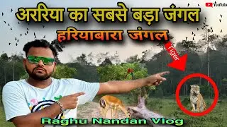 अररिया का सबसे बड़ा जंगल | हरियाबारा जंगल | Araria Biggest Forest | Raghu Nandan Vlogs