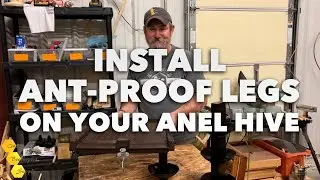 Anel Hive - Ant Leg Installation