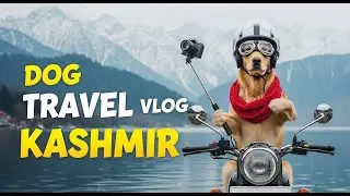 Kashmir like never before! | Epic Dog Travel Vlog in Kashmir | Bike Ride Adventure     #adventure